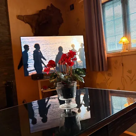 Entire 1st Floor Of An Older Two-unit House *